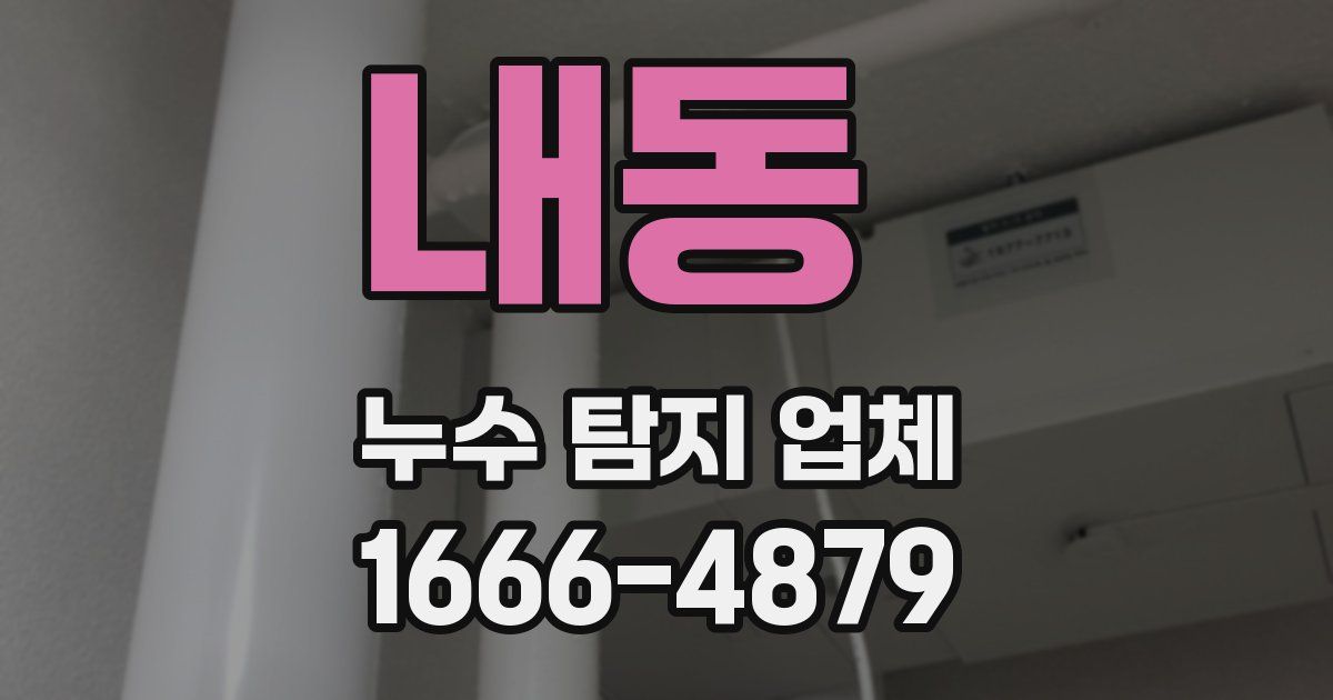 내동 누수 탐지 업체