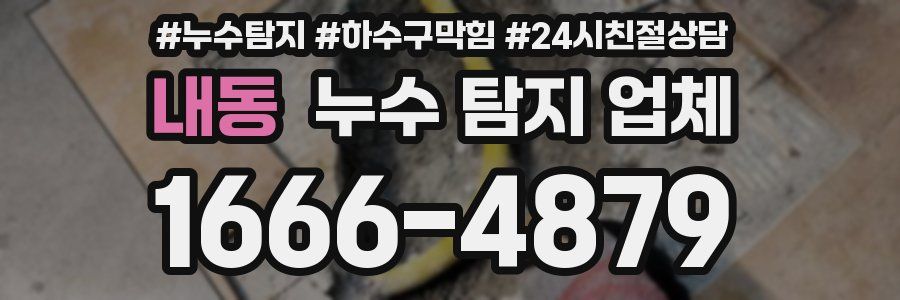 내동 누수 탐지 업체