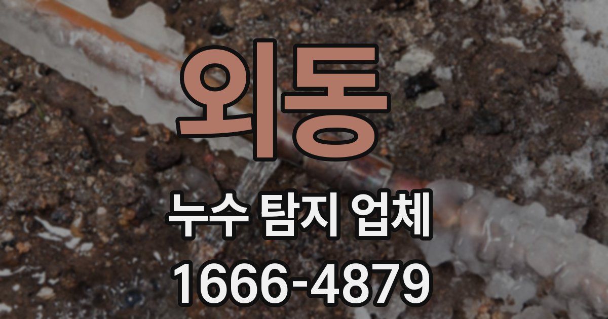 외동 누수 탐지 업체