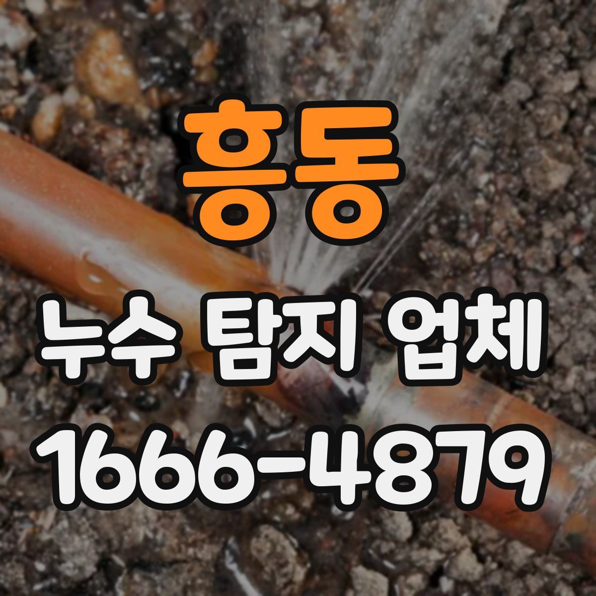 흥동 누수 탐지 업체