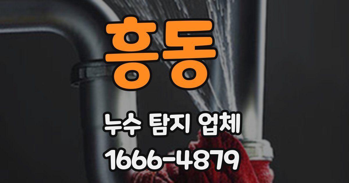 흥동 누수 탐지 업체