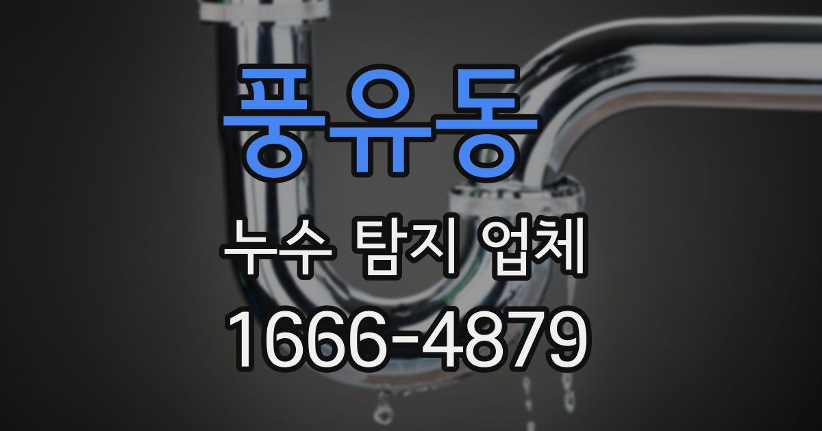 풍유동 누수 탐지 업체
