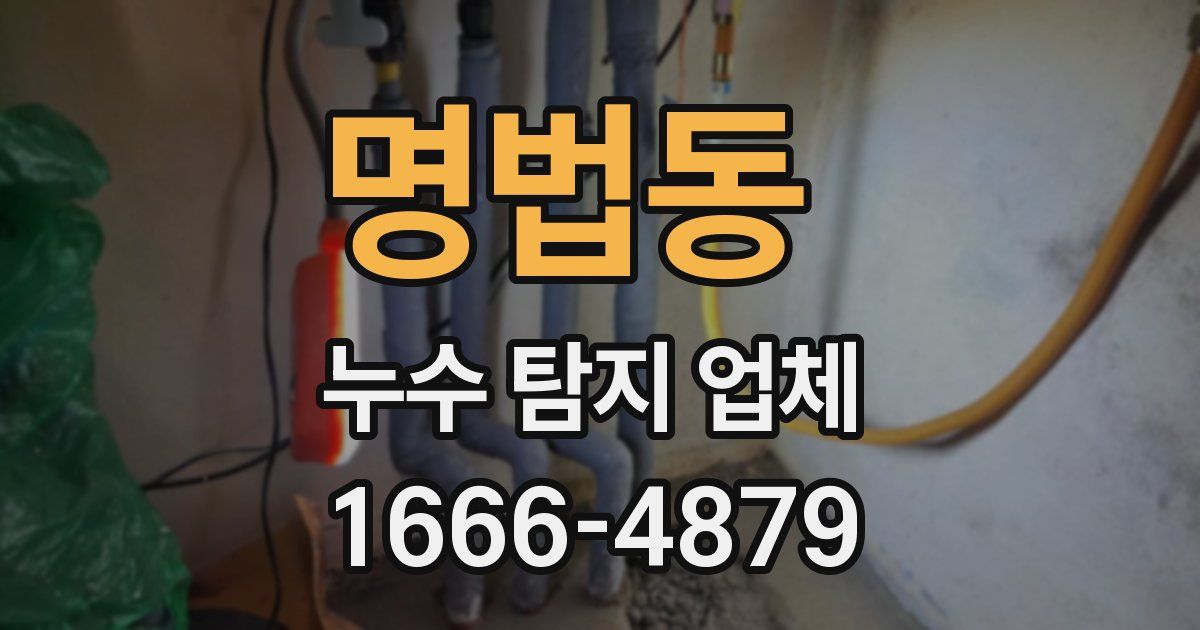 명법동 누수 탐지 업체