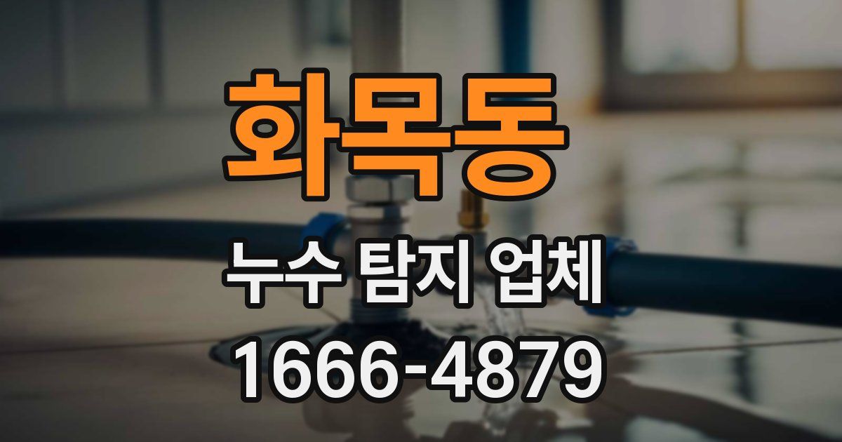 화목동 누수 탐지 업체