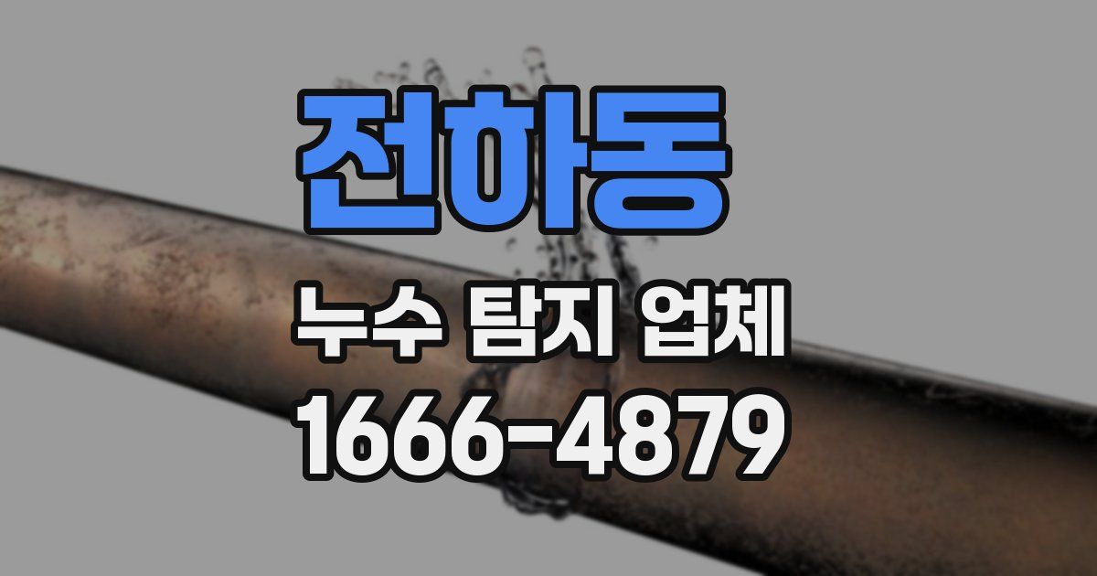 전하동 누수 탐지 업체