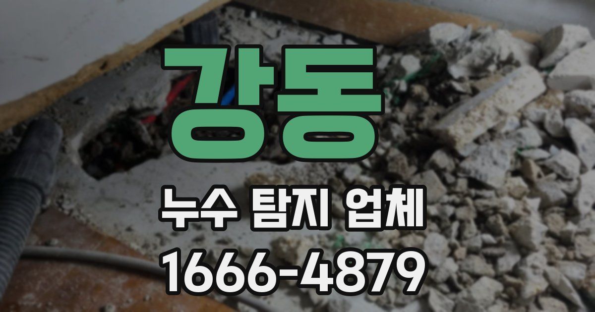 강동 누수 탐지 업체