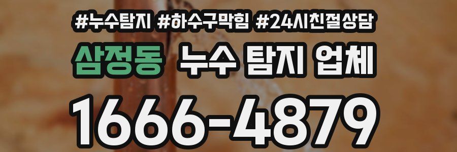 삼정동 누수 탐지 업체