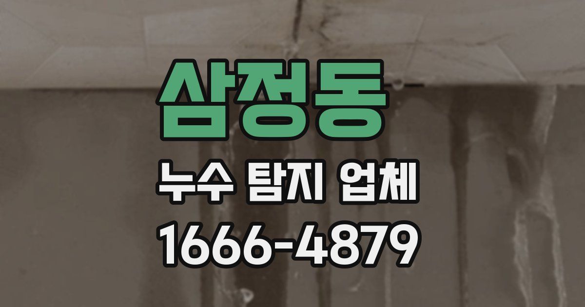 삼정동 누수 탐지 업체