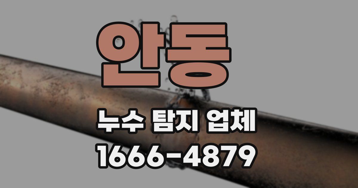 안동 누수 탐지 업체