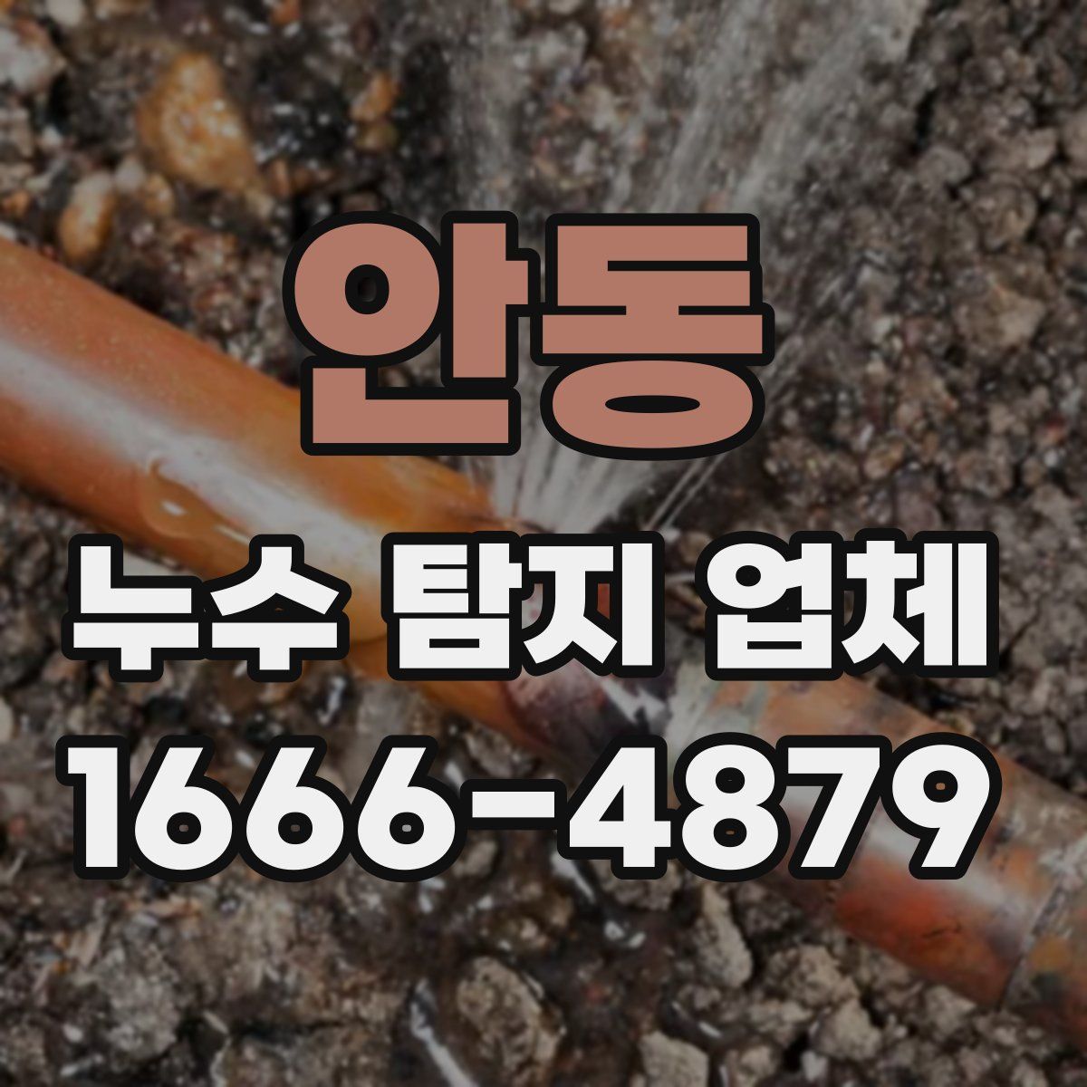 안동 누수 탐지 업체
