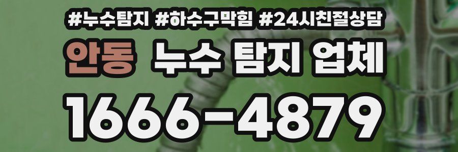 안동 누수 탐지 업체