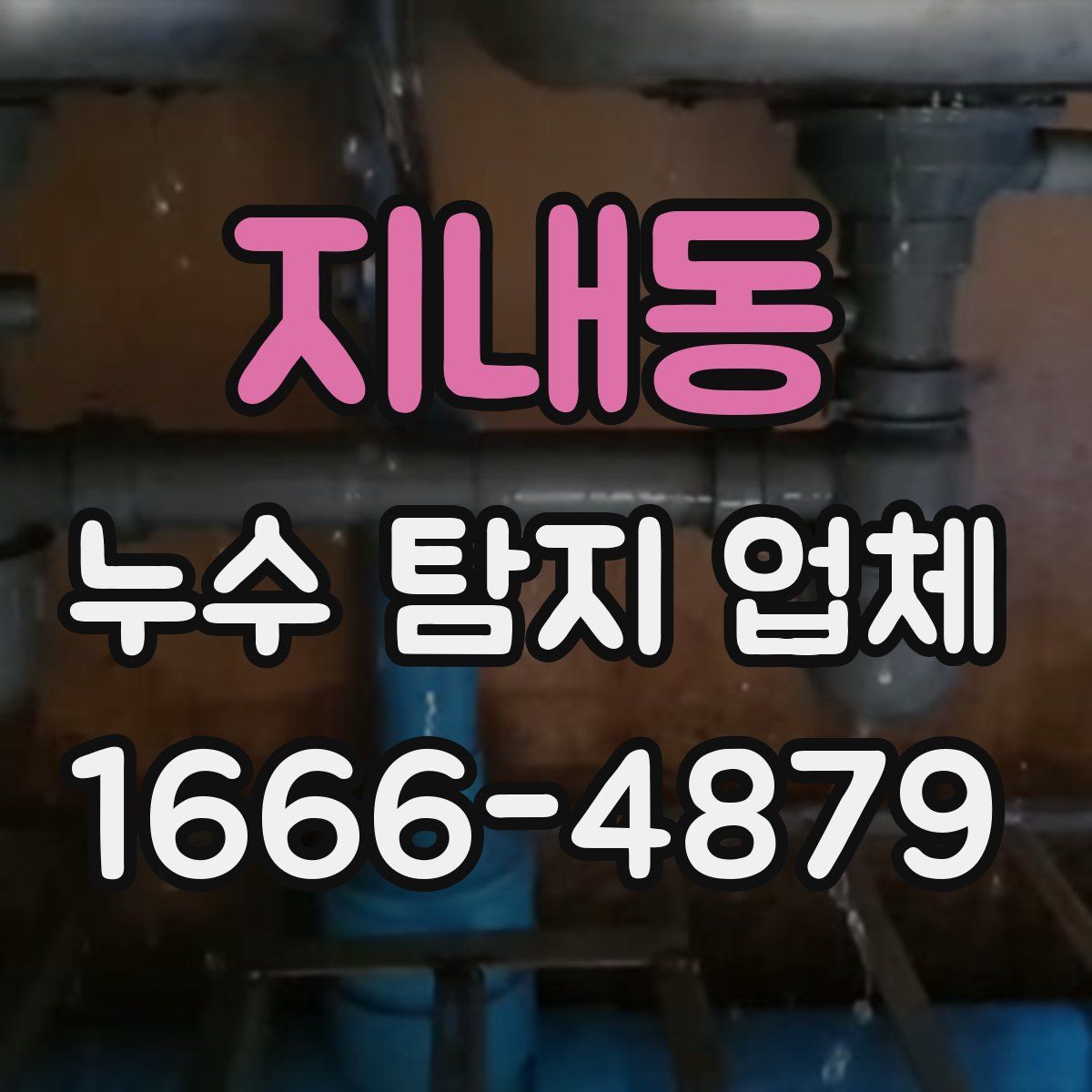 지내동 누수 탐지 업체