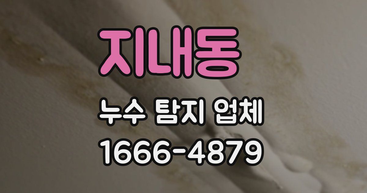 지내동 누수 탐지 업체