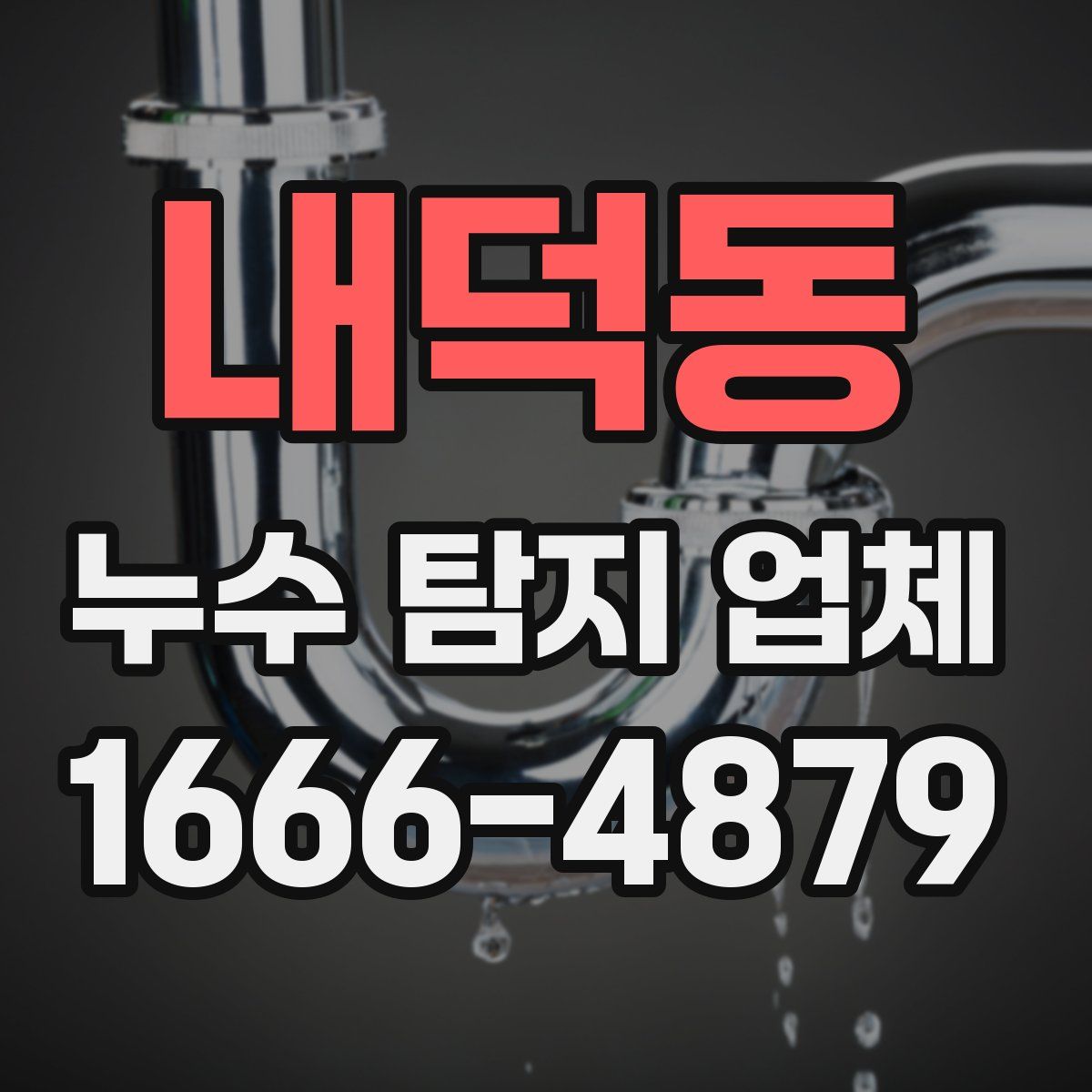 내덕동 누수 탐지 업체