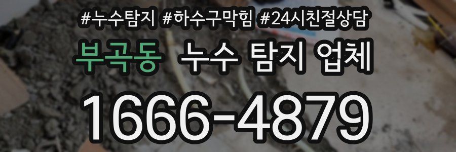부곡동 누수 탐지 업체