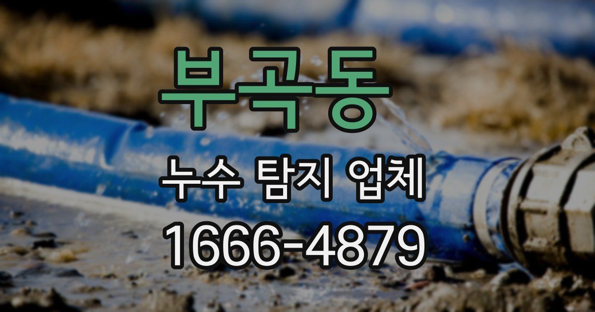 부곡동 누수 탐지 업체