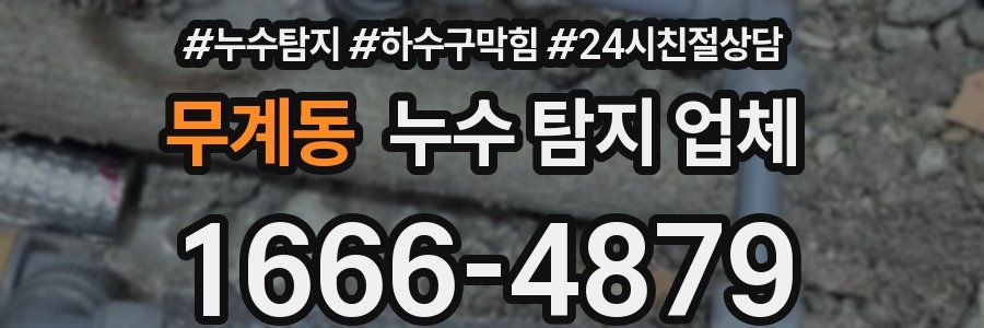 무계동 누수 탐지 업체