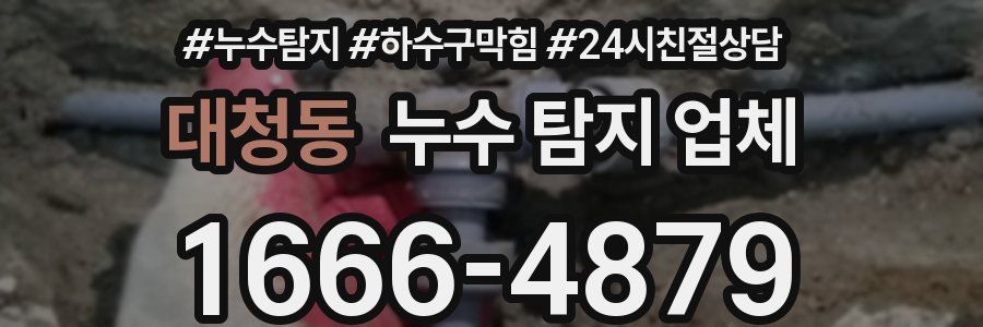 대청동 누수 탐지 업체