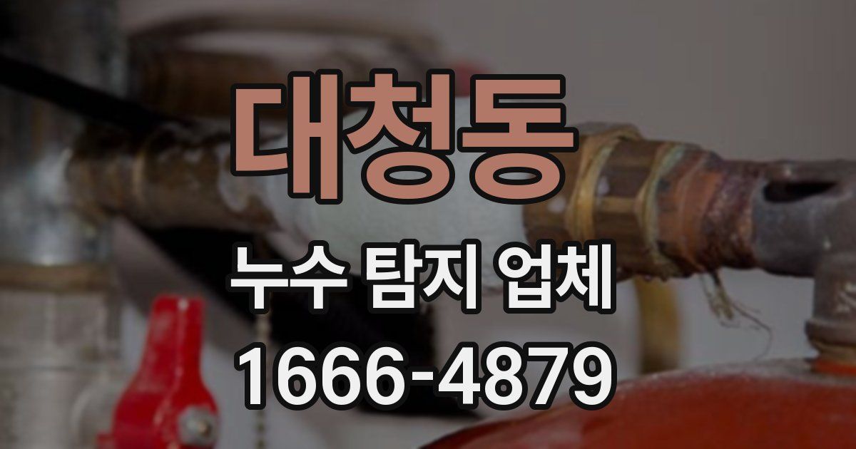 대청동 누수 탐지 업체