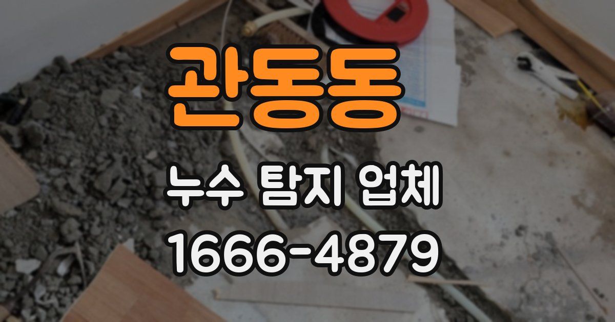 관동동 누수 탐지 업체