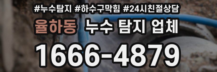 율하동 누수 탐지 업체