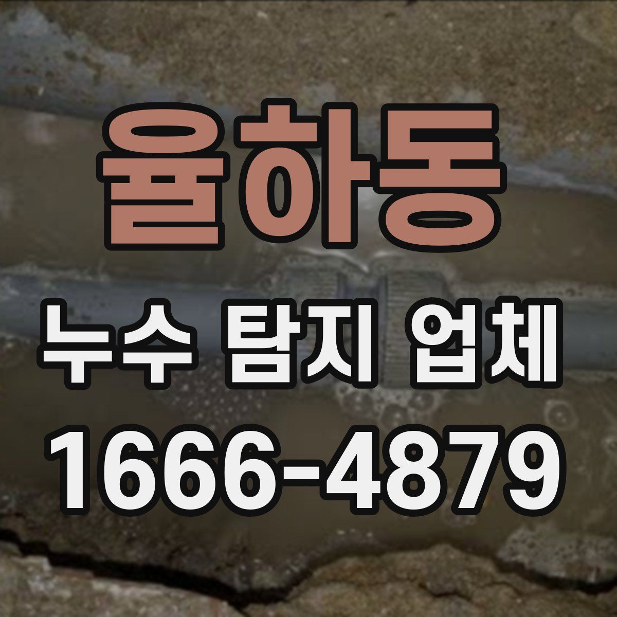 율하동 누수 탐지 업체
