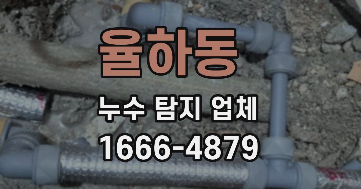 율하동 누수 탐지 업체