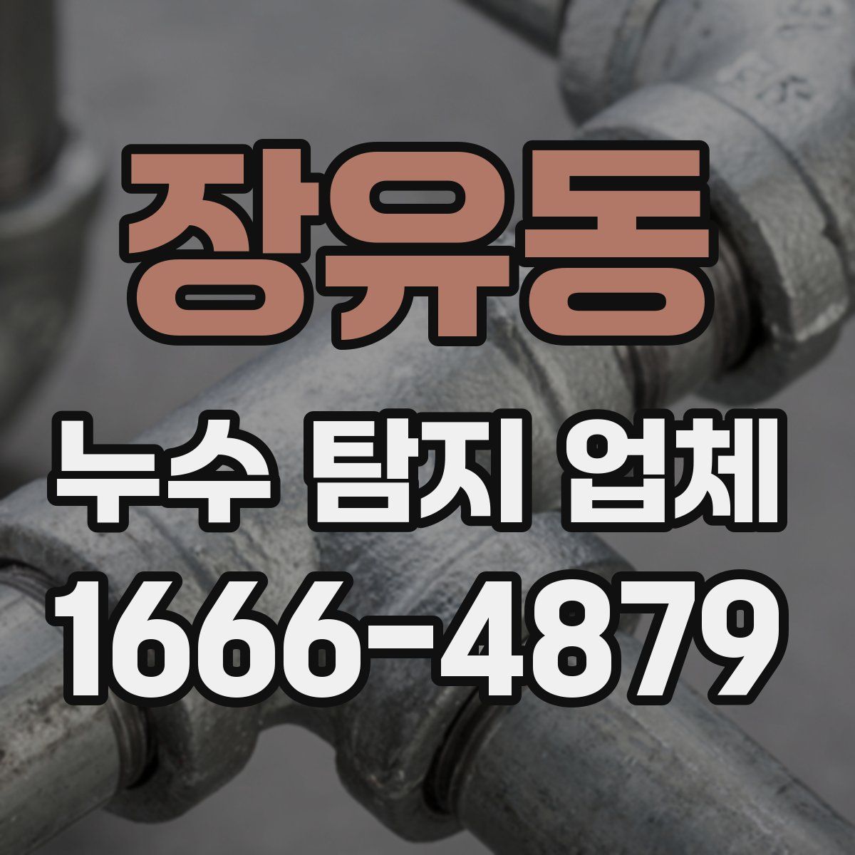 장유동 누수 탐지 업체