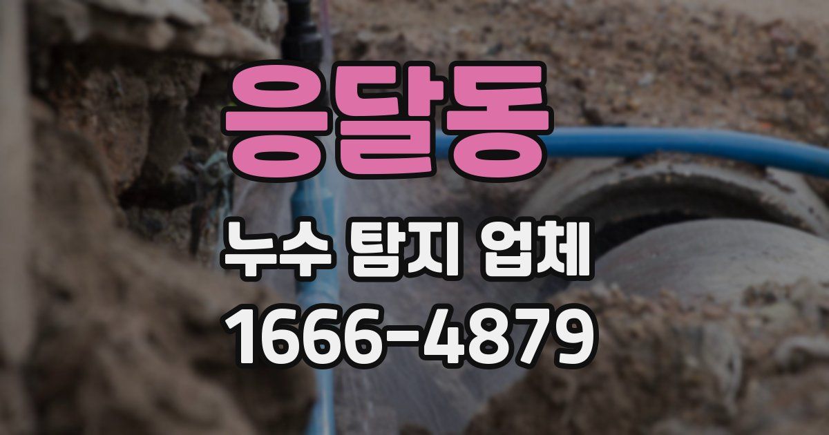 응달동 누수 탐지 업체
