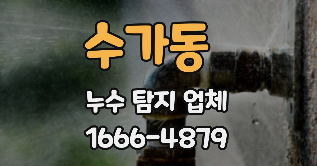 수가동 누수 탐지 업체