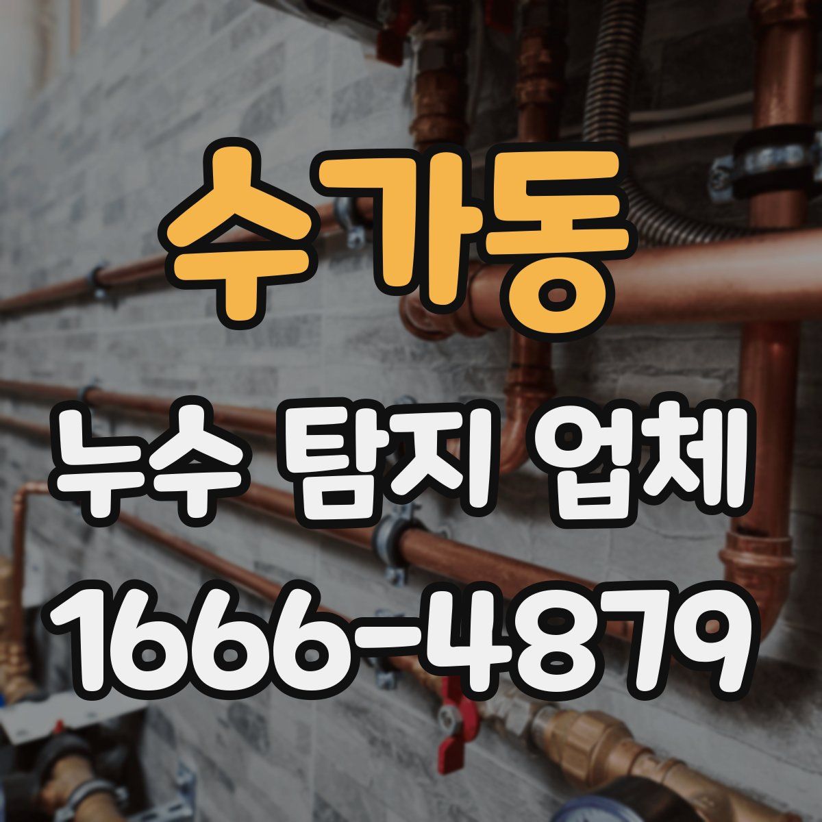 수가동 누수 탐지 업체
