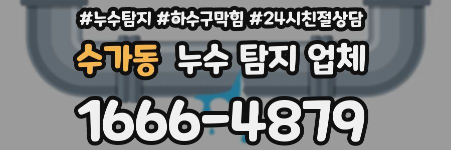 수가동 누수 탐지 업체