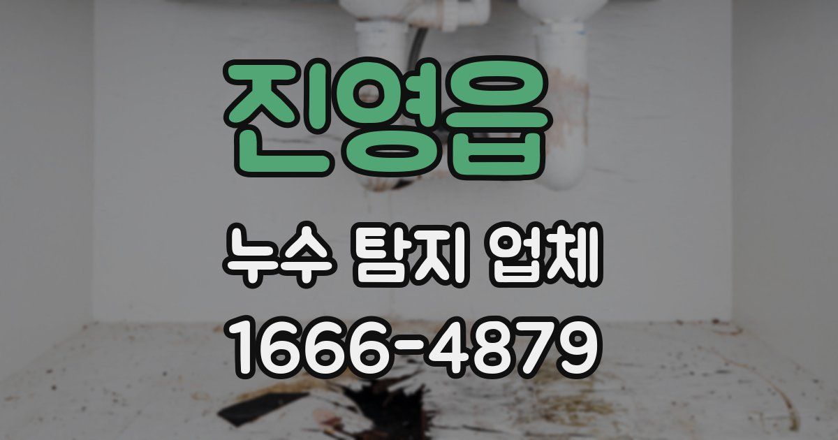 진영읍 누수 탐지 업체