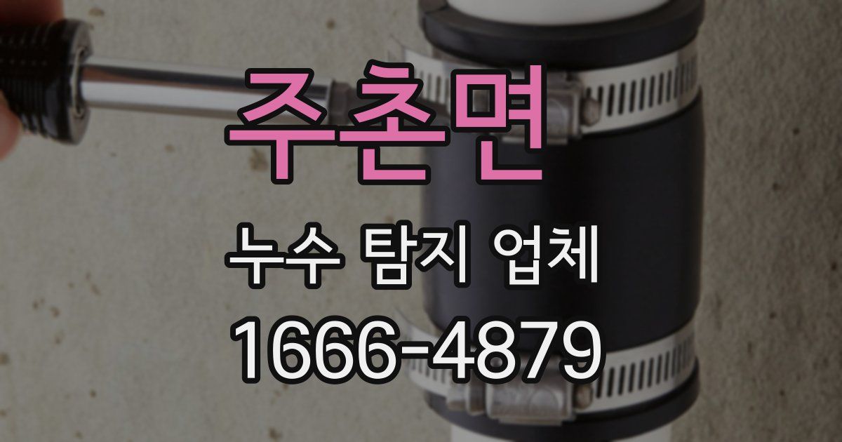 주촌면 누수 탐지 업체