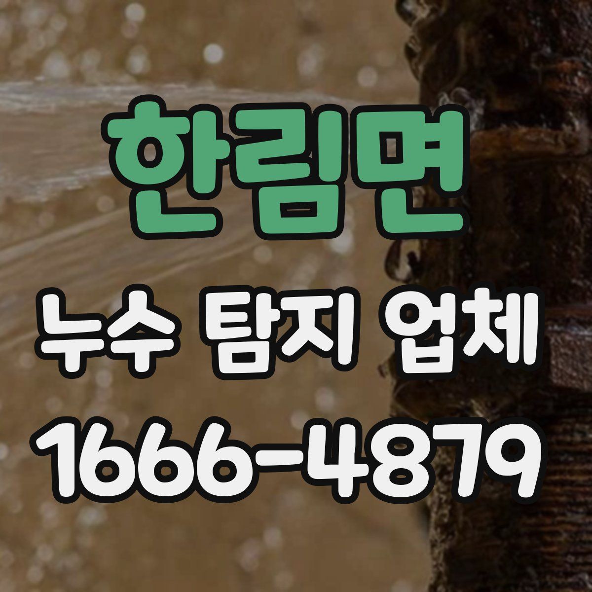 한림면 누수 탐지 업체