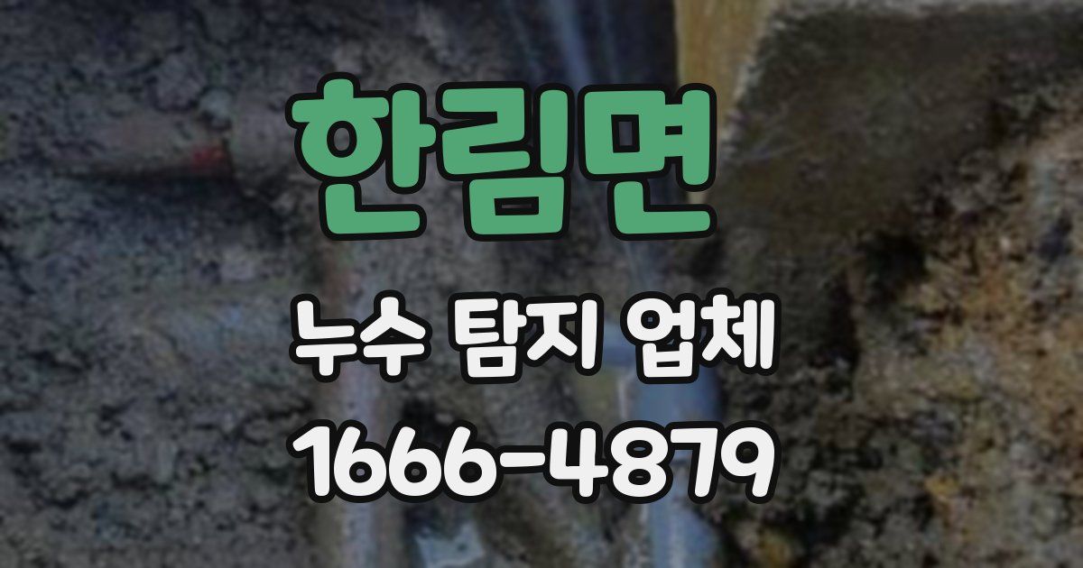 한림면 누수 탐지 업체