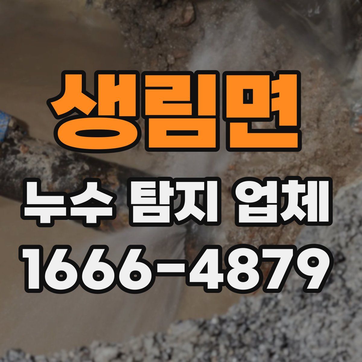 생림면 누수 탐지 업체