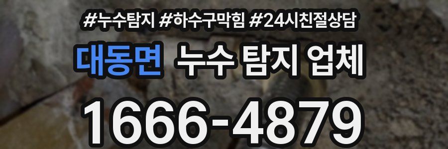 대동면 누수 탐지 업체