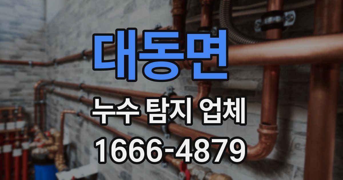 대동면 누수 탐지 업체