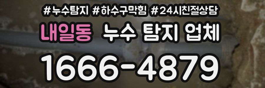 내일동 누수 탐지 업체