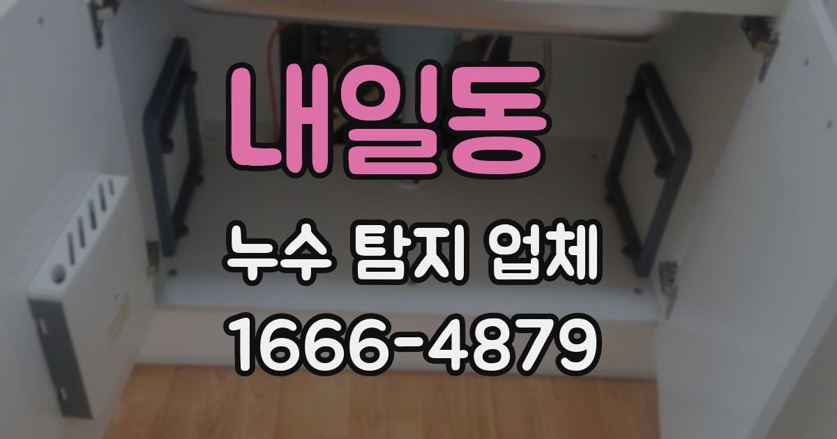 내일동 누수 탐지 업체