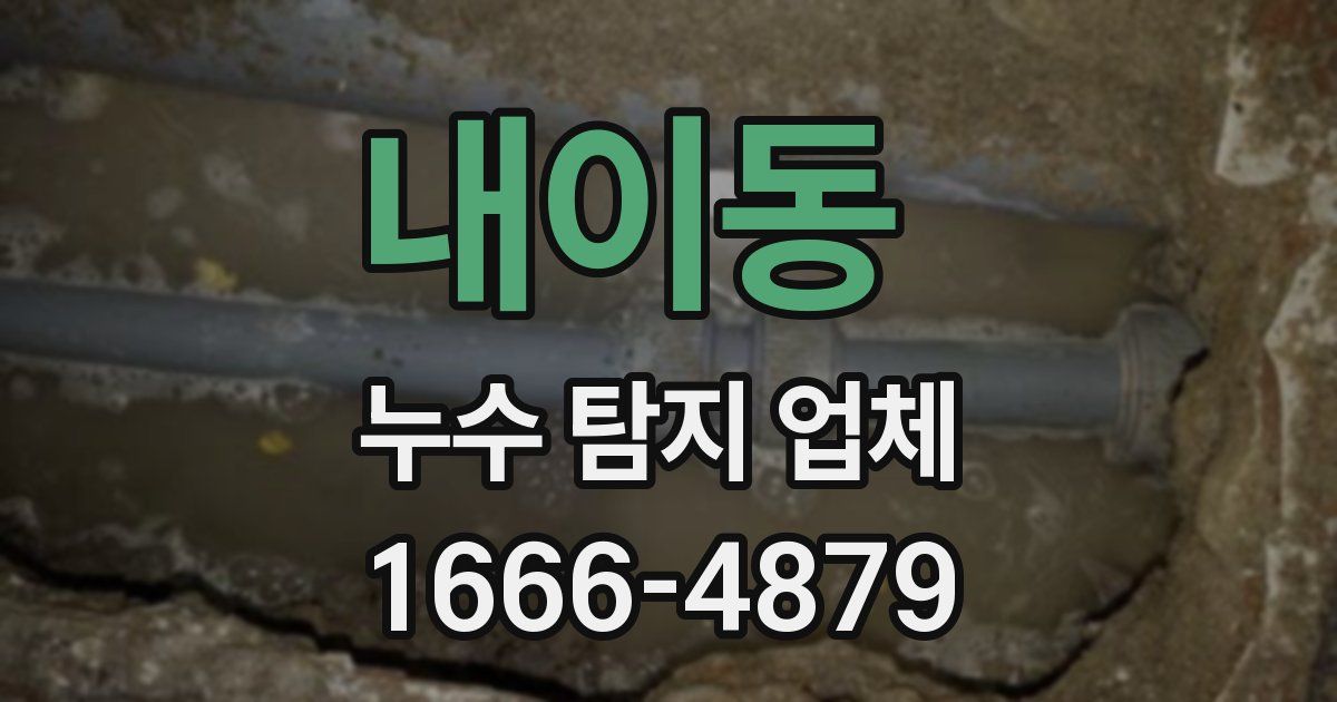 내이동 누수 탐지 업체