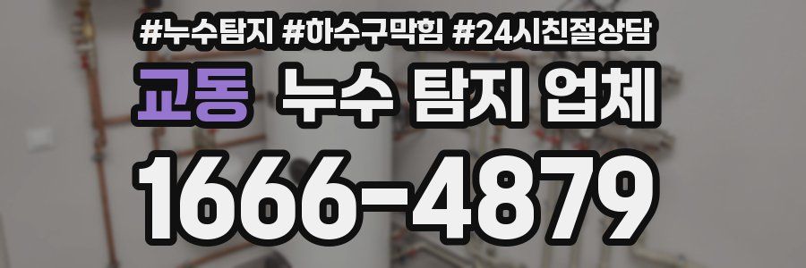 교동 누수 탐지 업체