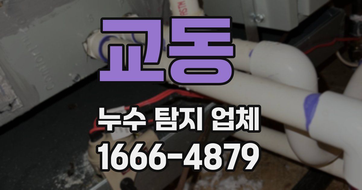 교동 누수 탐지 업체