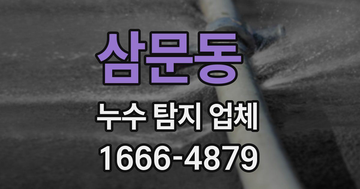 삼문동 누수 탐지 업체