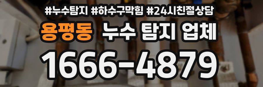용평동 누수 탐지 업체