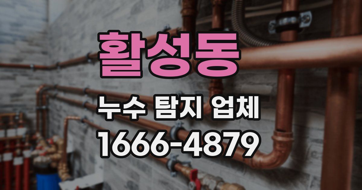 활성동 누수 탐지 업체