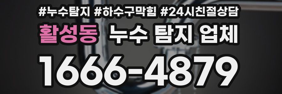 활성동 누수 탐지 업체