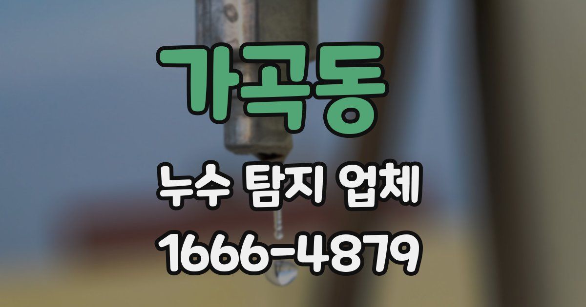 가곡동 누수 탐지 업체