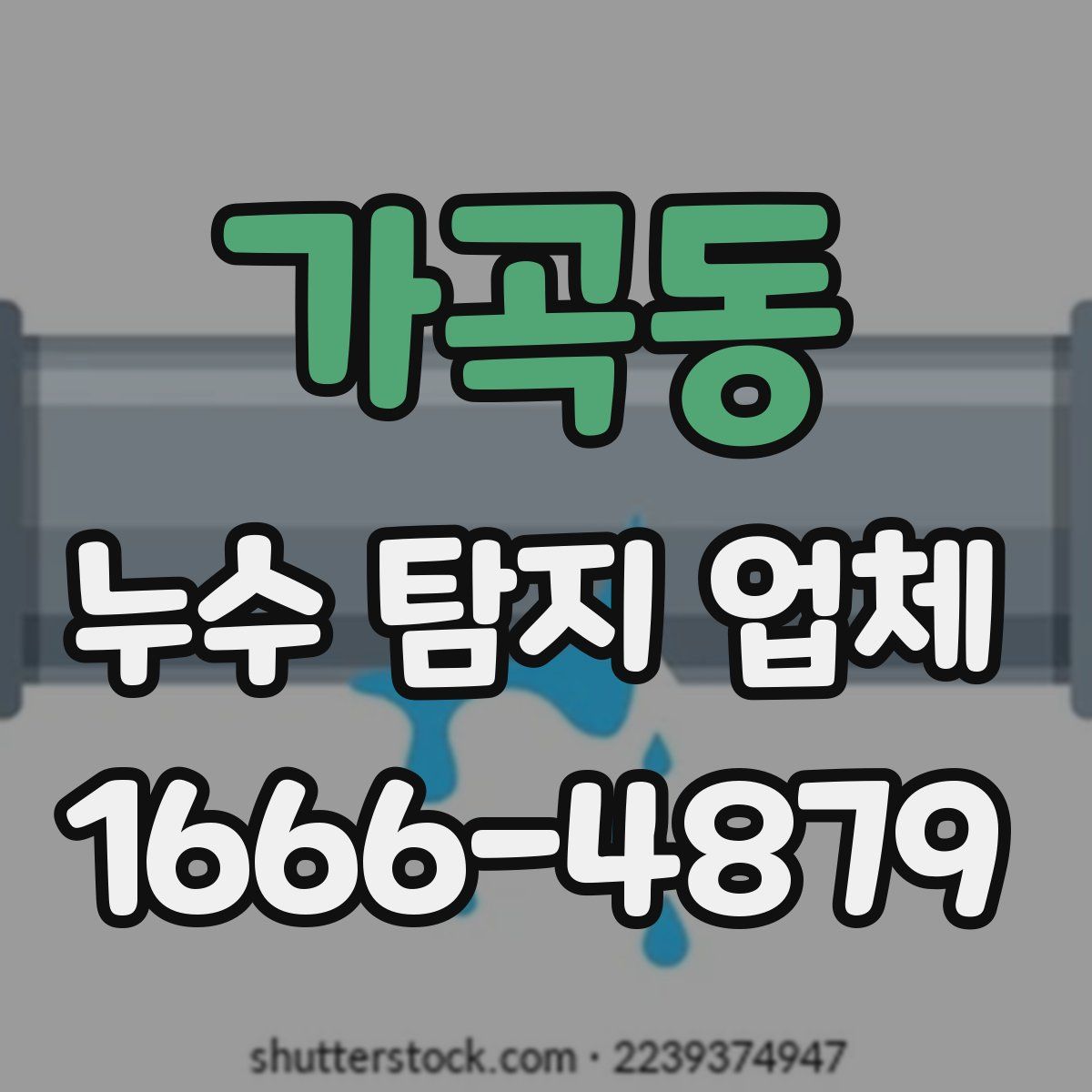 가곡동 누수 탐지 업체